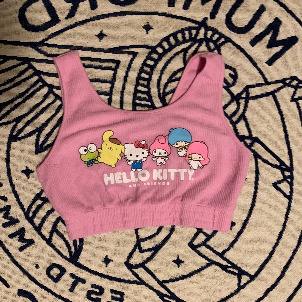 Hello Kitty Pink Bra Crop Top